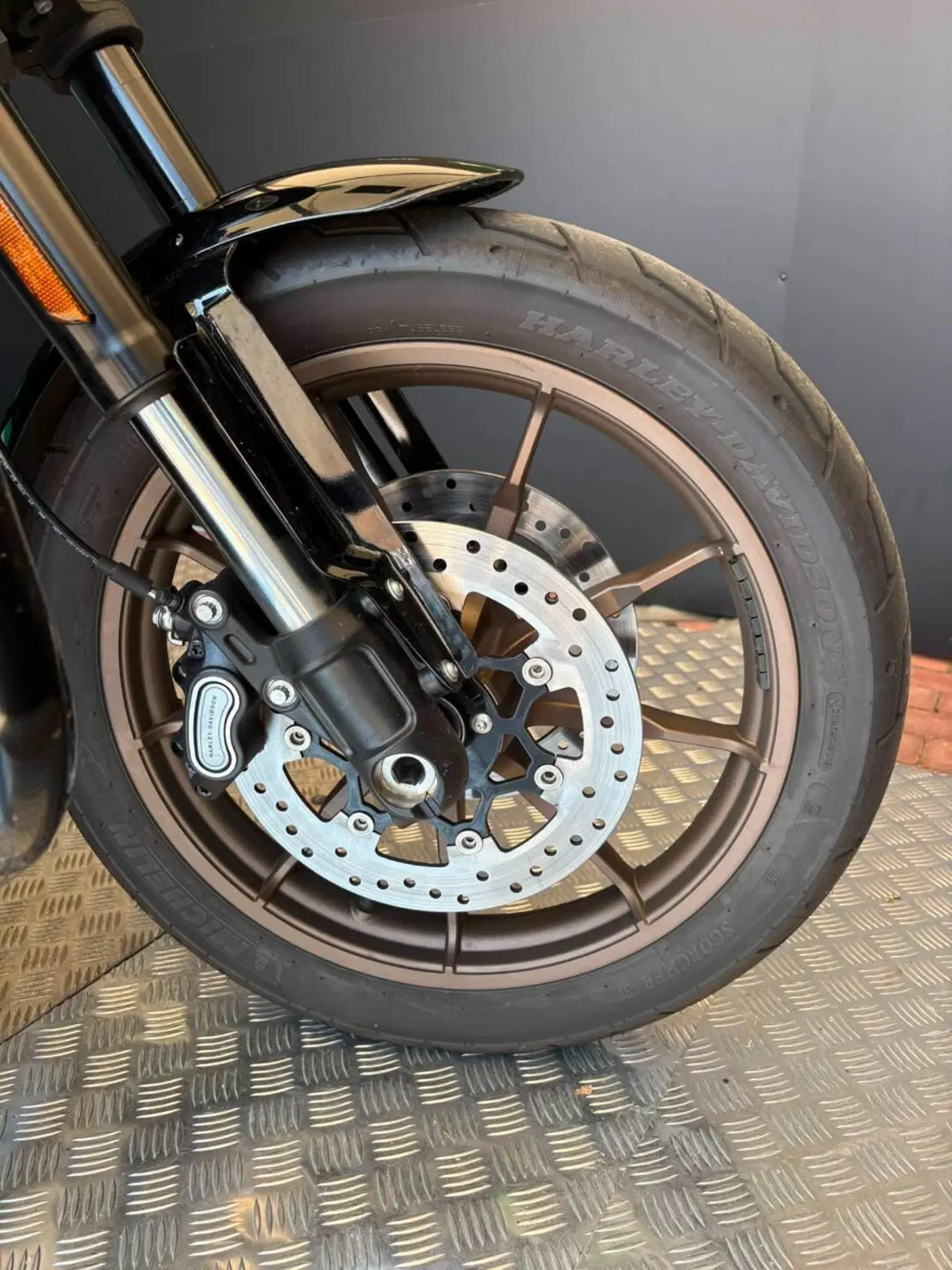 Harley-Davidson Low Rider S (2025 - 26) (19)