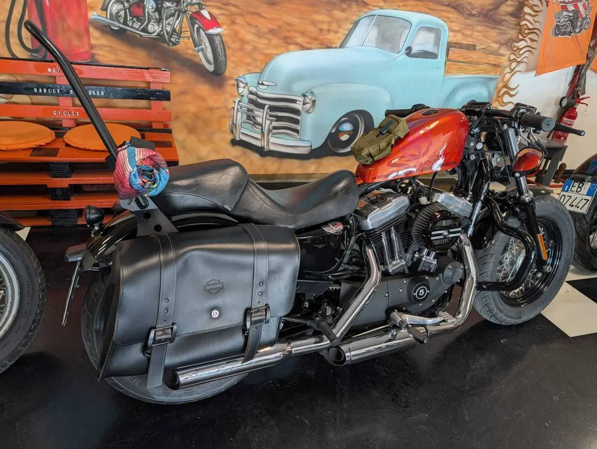 Harley-Davidson 1200 Forty-Eight (2010 - 15) (5)