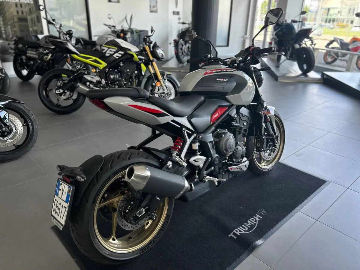 Triumph Trident 800 (2026) (2)