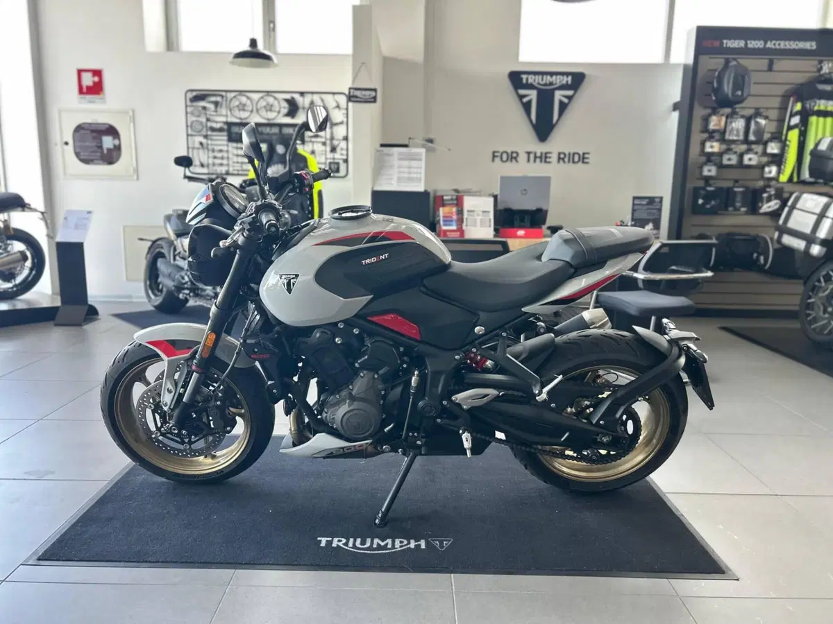 Triumph Trident 800 (2026) (3)
