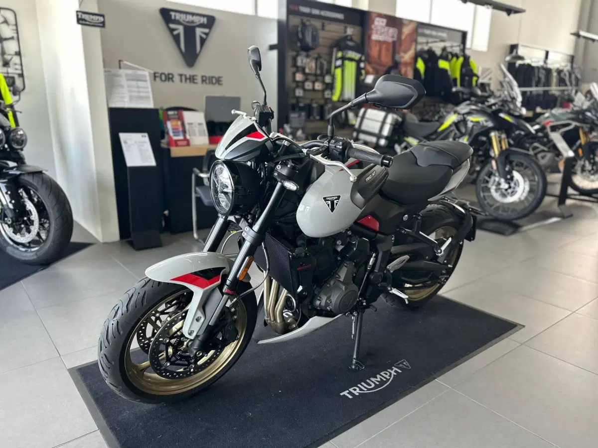 Triumph Trident 800 (2026) (4)