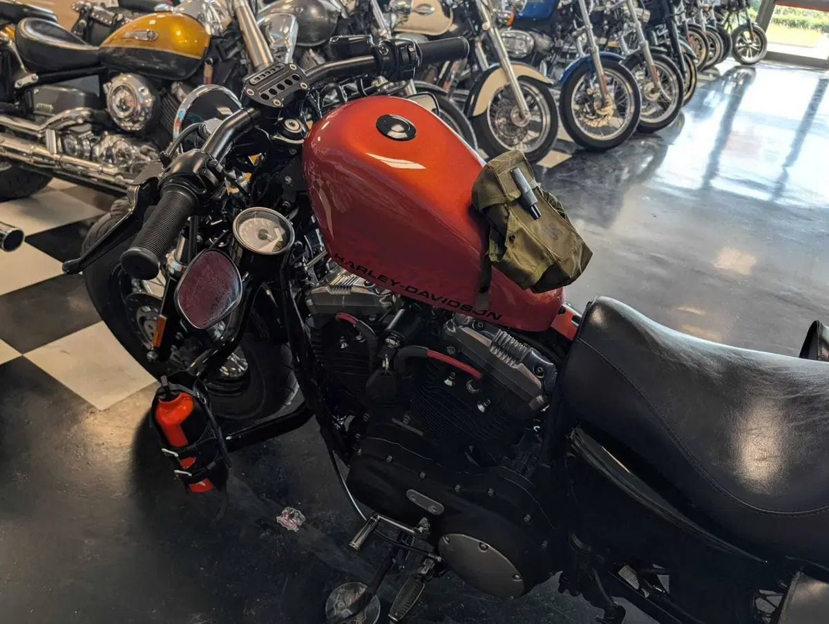 Harley-Davidson 1200 Forty-Eight (2010 - 15) (6)