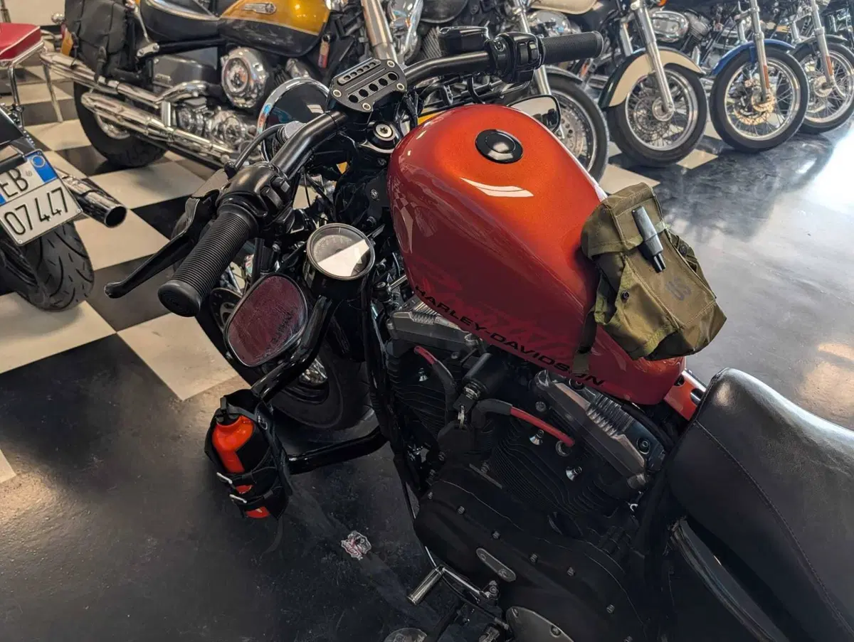 Harley-Davidson 1200 Forty-Eight (2010 - 15) (7)