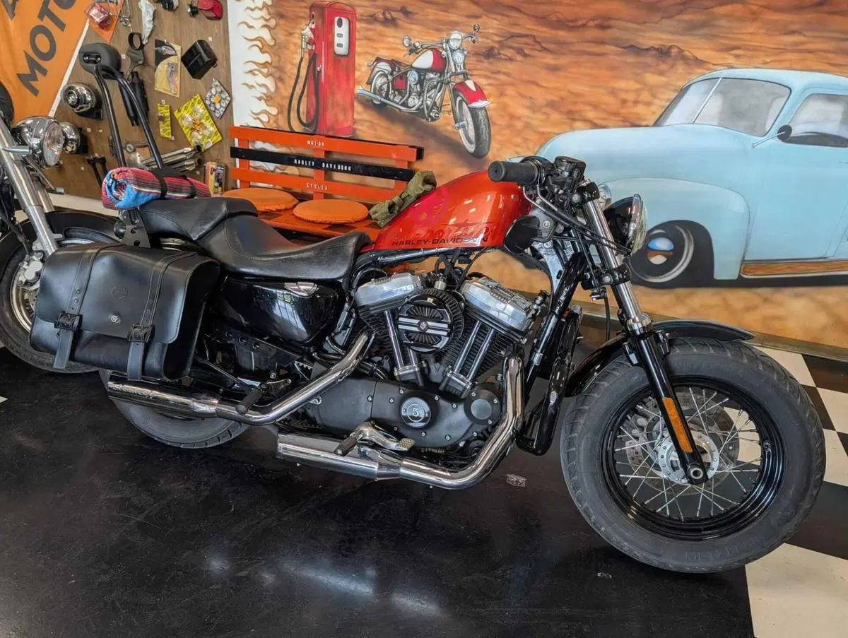 Harley-Davidson 1200 Forty-Eight (2010 - 15) (8)