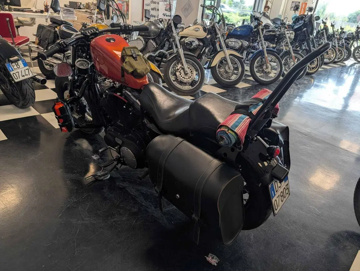Harley-Davidson 1200 Forty-Eight (2010 - 15) (9)