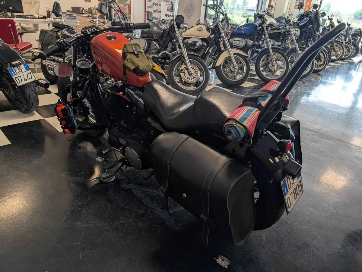 Harley-Davidson 1200 Forty-Eight (2010 - 15) (12)
