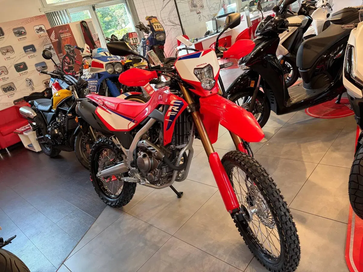 Honda CRF 300L (2025 - 26) (4)