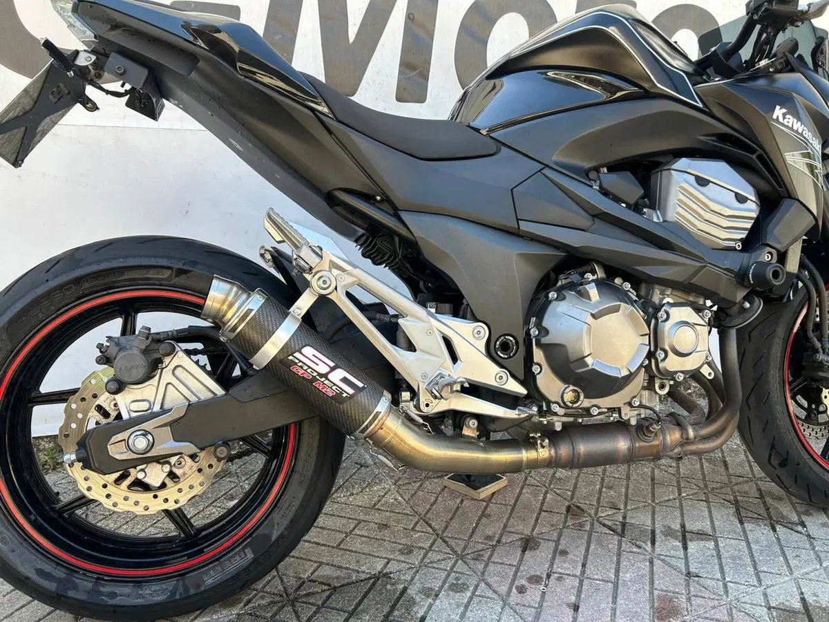 Kawasaki Z 800 e (2012 - 13) (2)