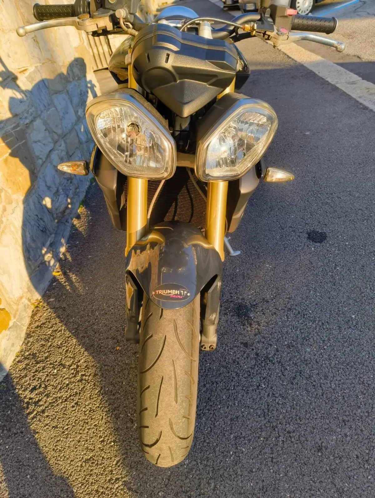 Triumph Street Triple ABS (2013 - 17) (2)