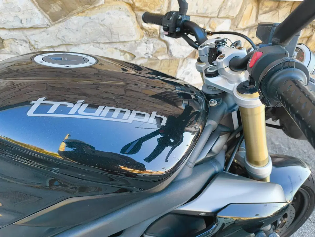 Triumph Street Triple ABS (2013 - 17) (3)