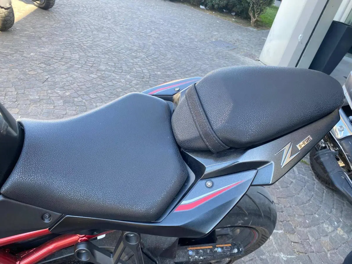 Kawasaki Z H2 (2021) (6)