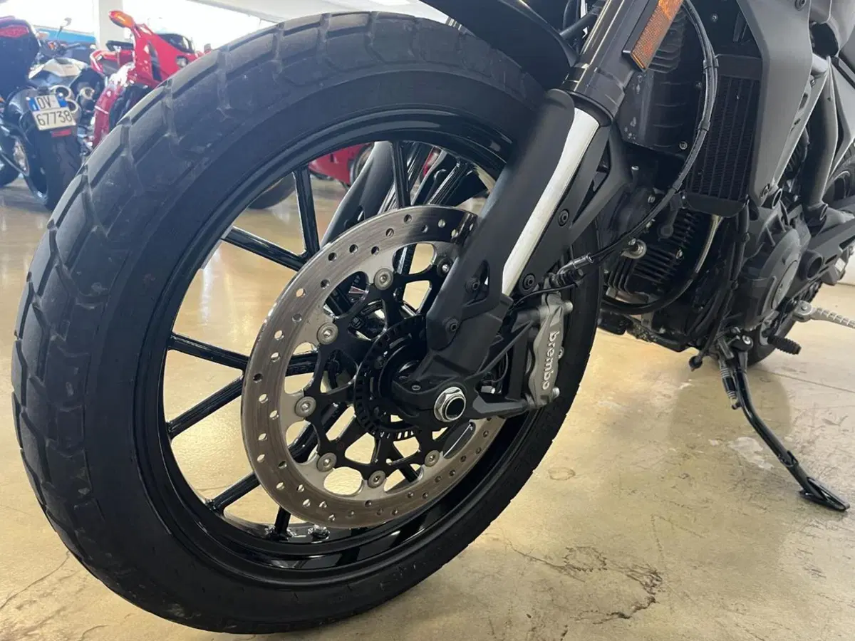 Ducati Scrambler 800 Icon Dark (2025 - 26) (3)