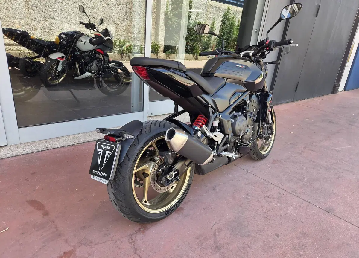 Triumph Trident 800 (2026) (4)