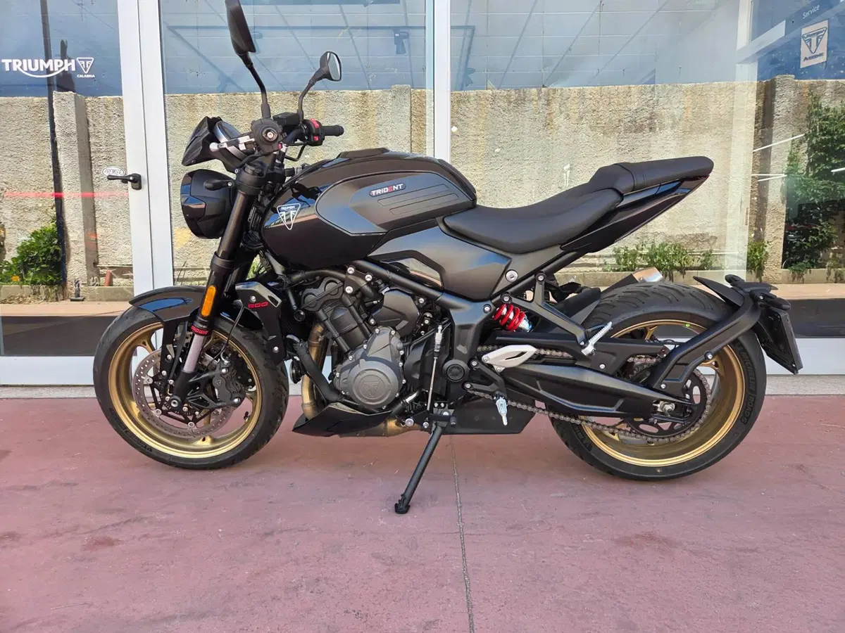 Triumph Trident 800 (2026) (6)