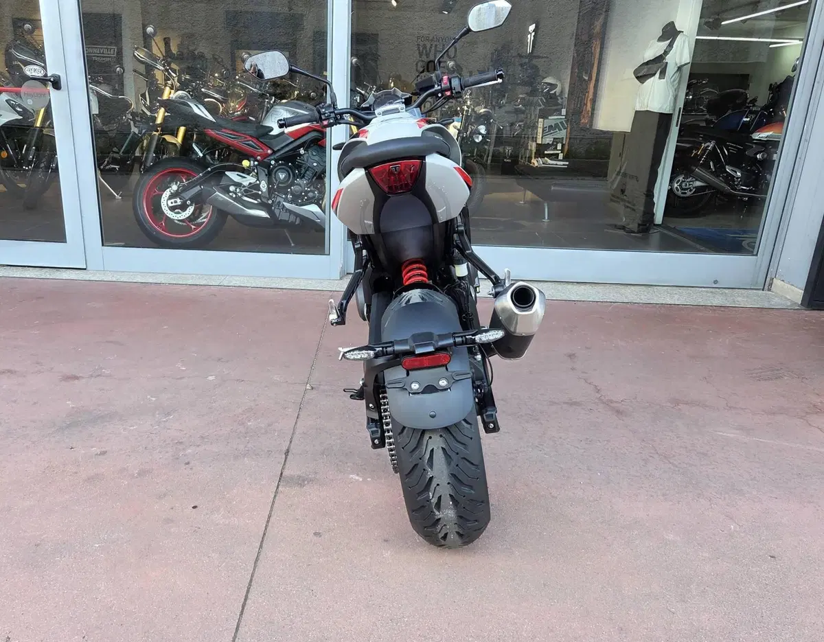 Triumph Trident 800 (2026) (11)