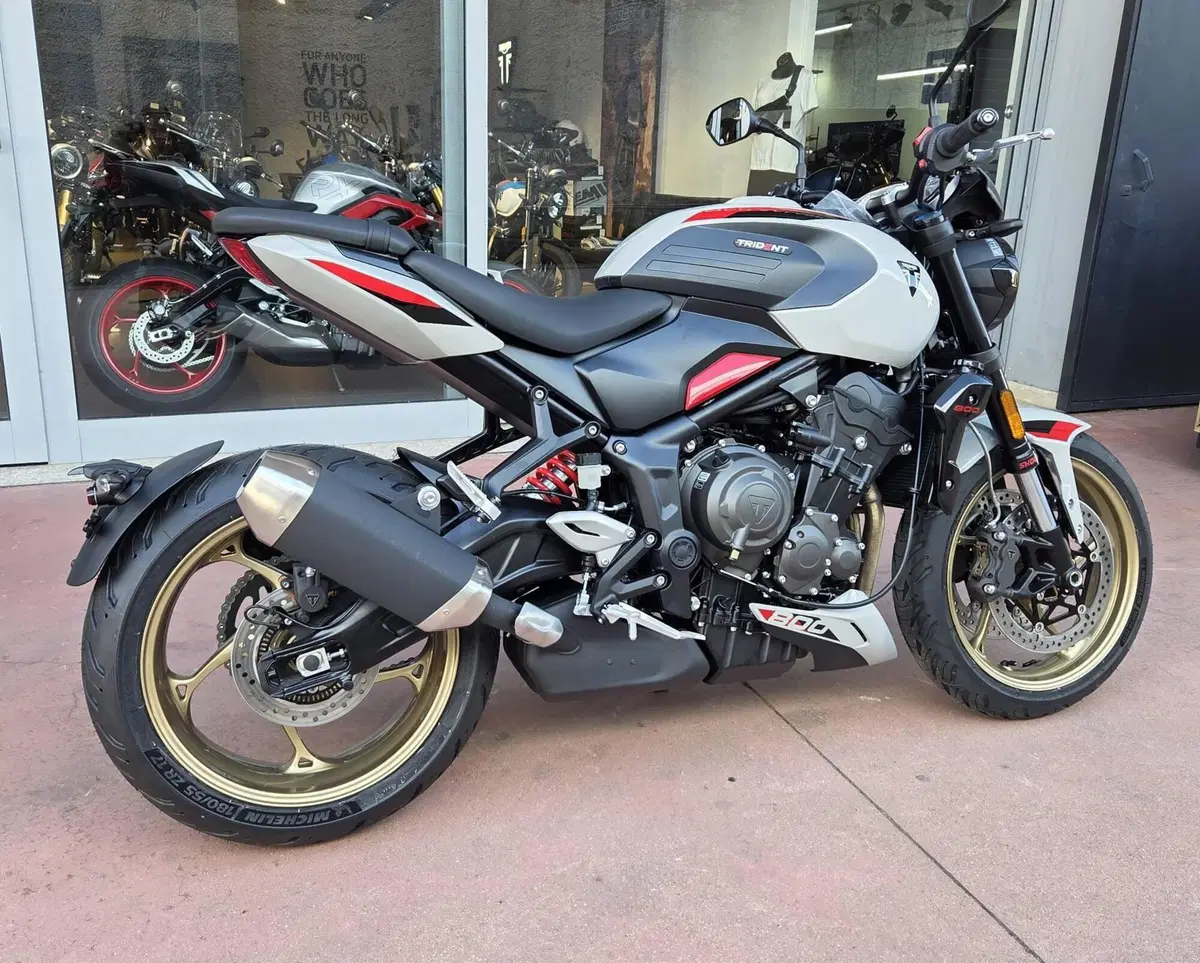 Triumph Trident 800 (2026) (5)