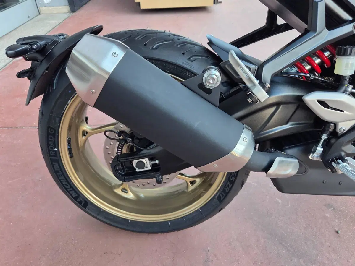 Triumph Trident 800 (2026) (14)
