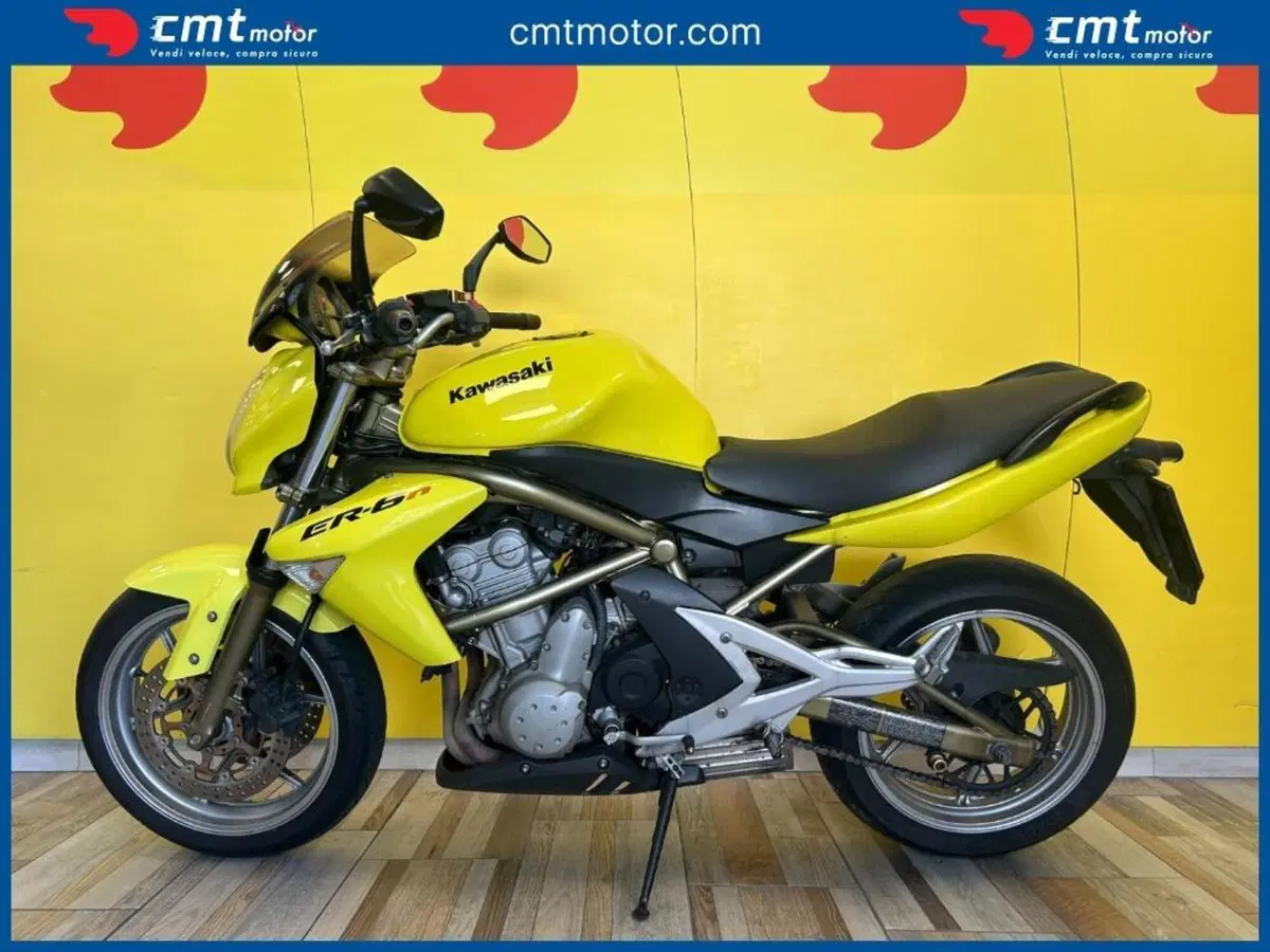 Kawasaki ER-6N (2006 - 09) (3)