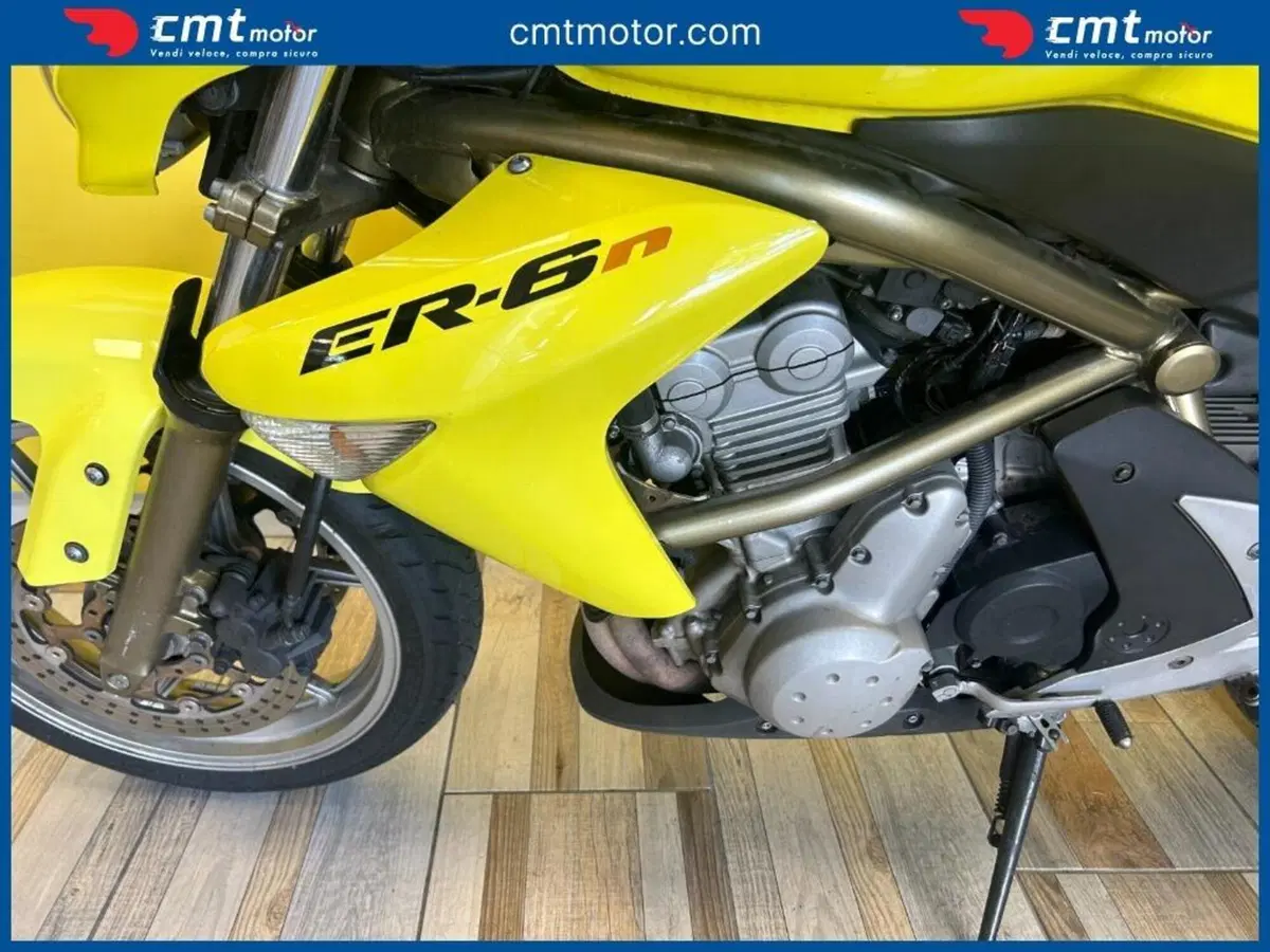 Kawasaki ER-6N (2006 - 09) (7)