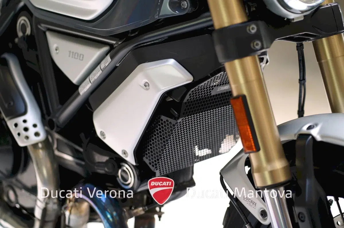 Ducati Scrambler 1100 Special (2018 - 20) (10)