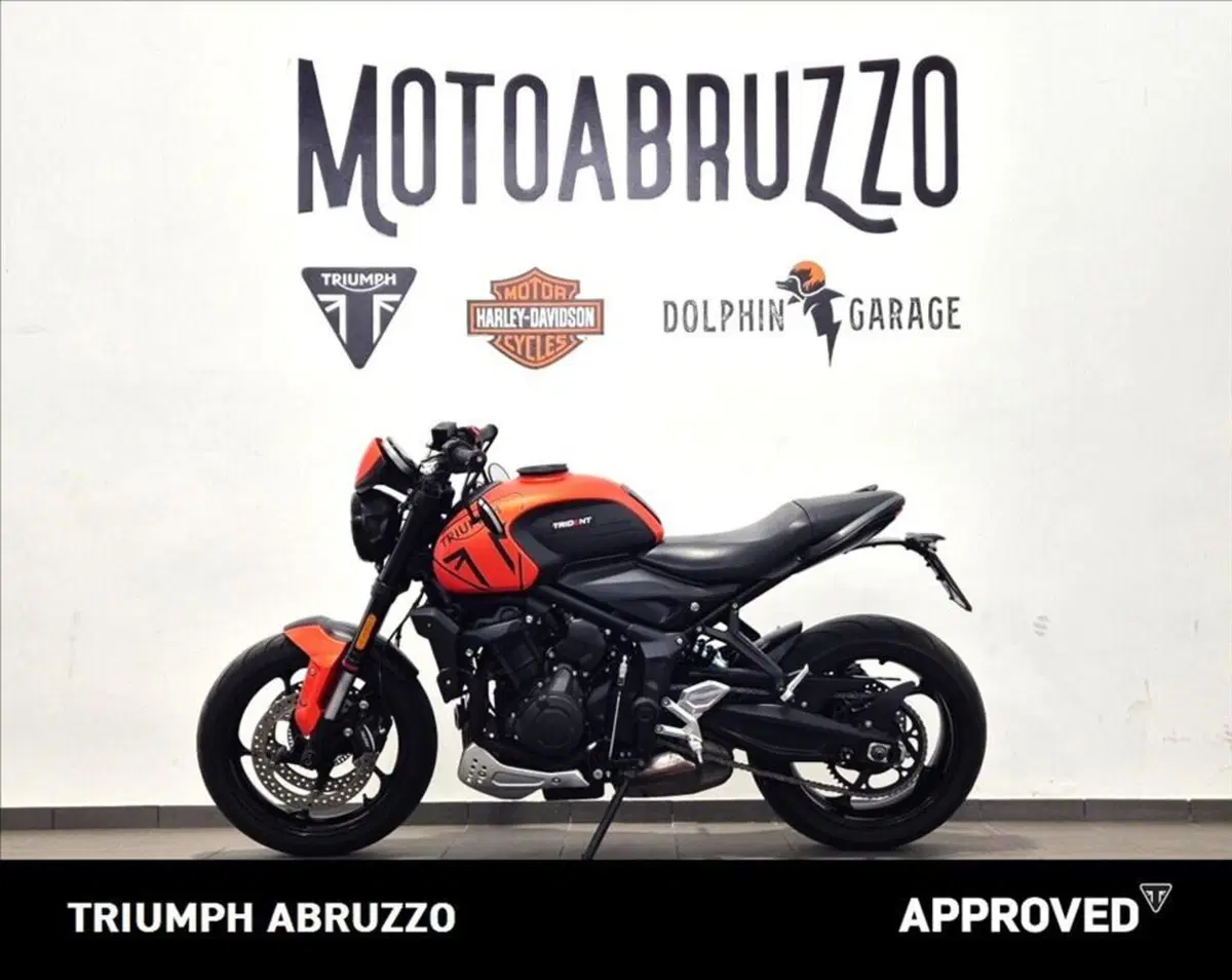 Triumph Trident 660 (2021 - 24) (6)