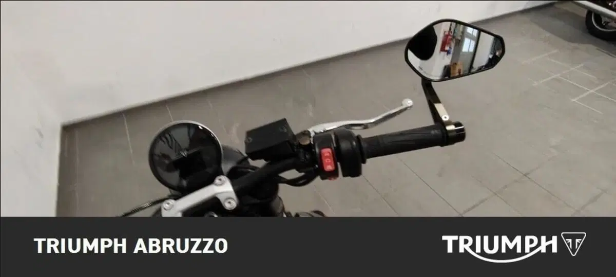 Triumph Trident 660 (2021 - 24) (7)