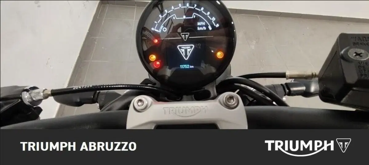 Triumph Trident 660 (2021 - 24) (4)
