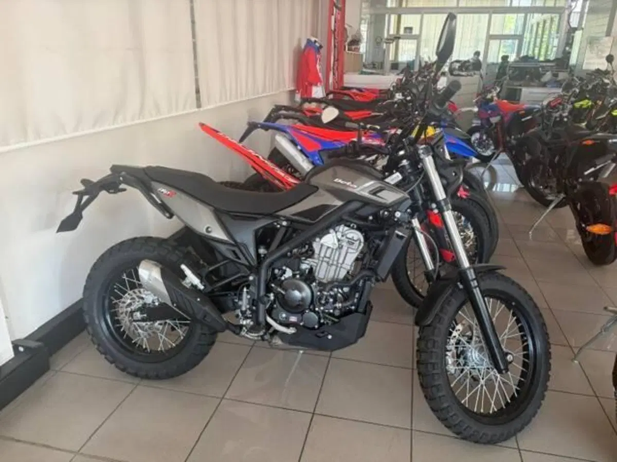 Betamotor Alp X (2024 - 26)