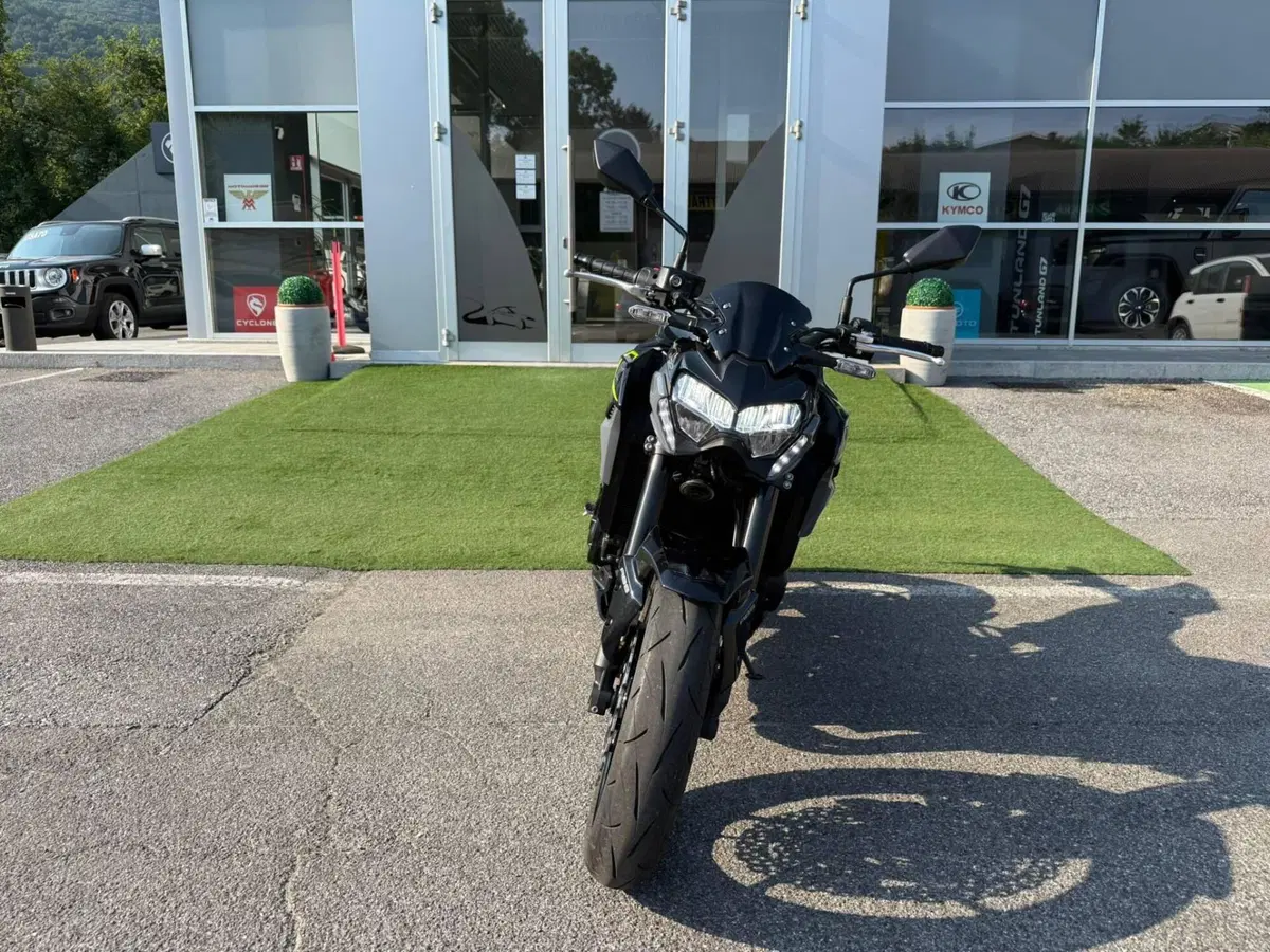Kawasaki Z 900 (2021 - 24) (3)