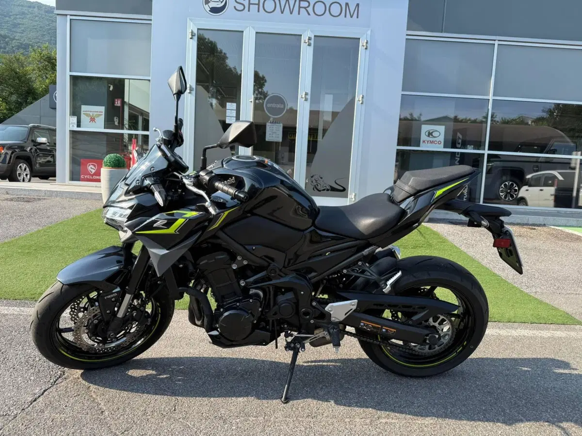 Kawasaki Z 900 (2021 - 24) (5)
