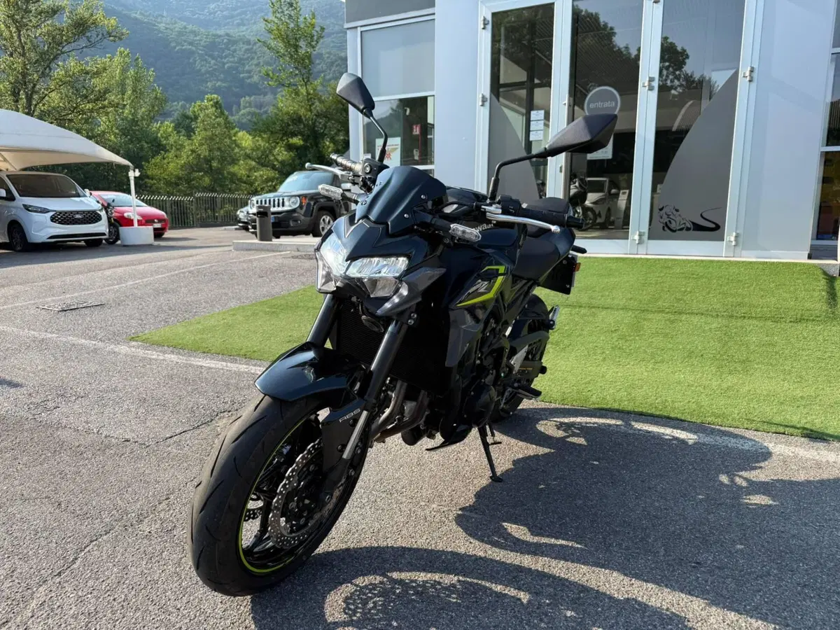 Kawasaki Z 900 (2021 - 24) (17)