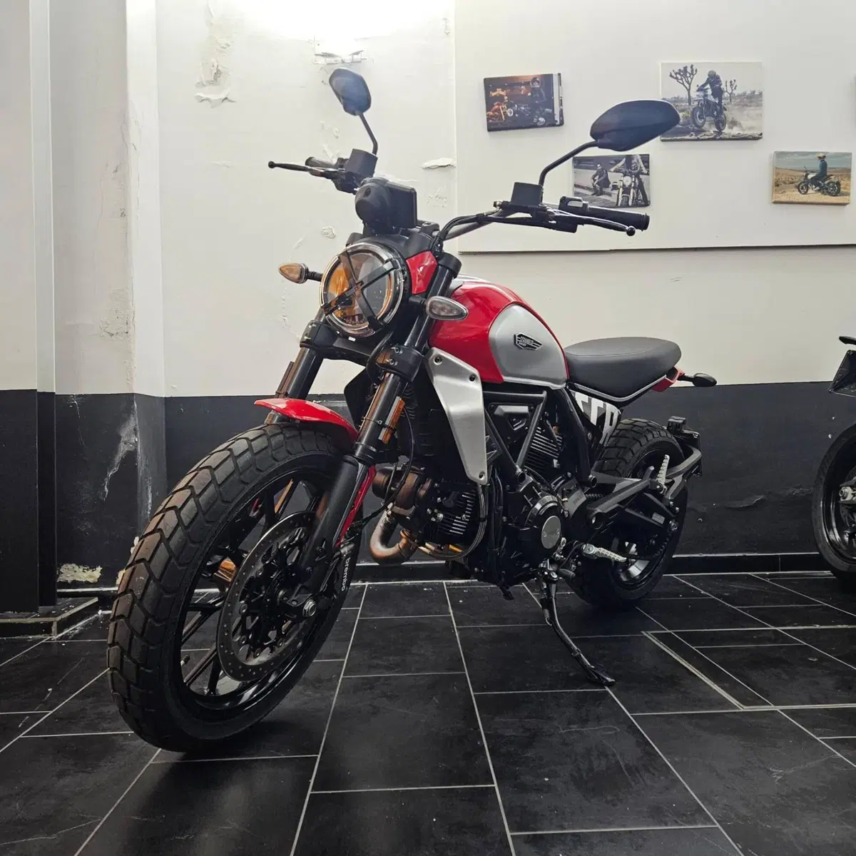 Ducati Scrambler 800 Icon (2025 - 26)