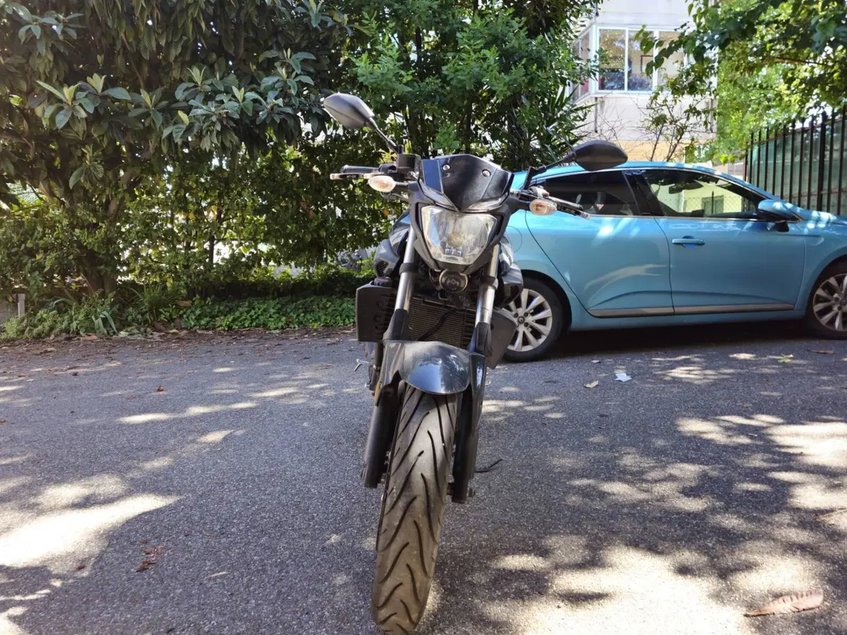 Yamaha MT-03 (2016 - 17) (4)