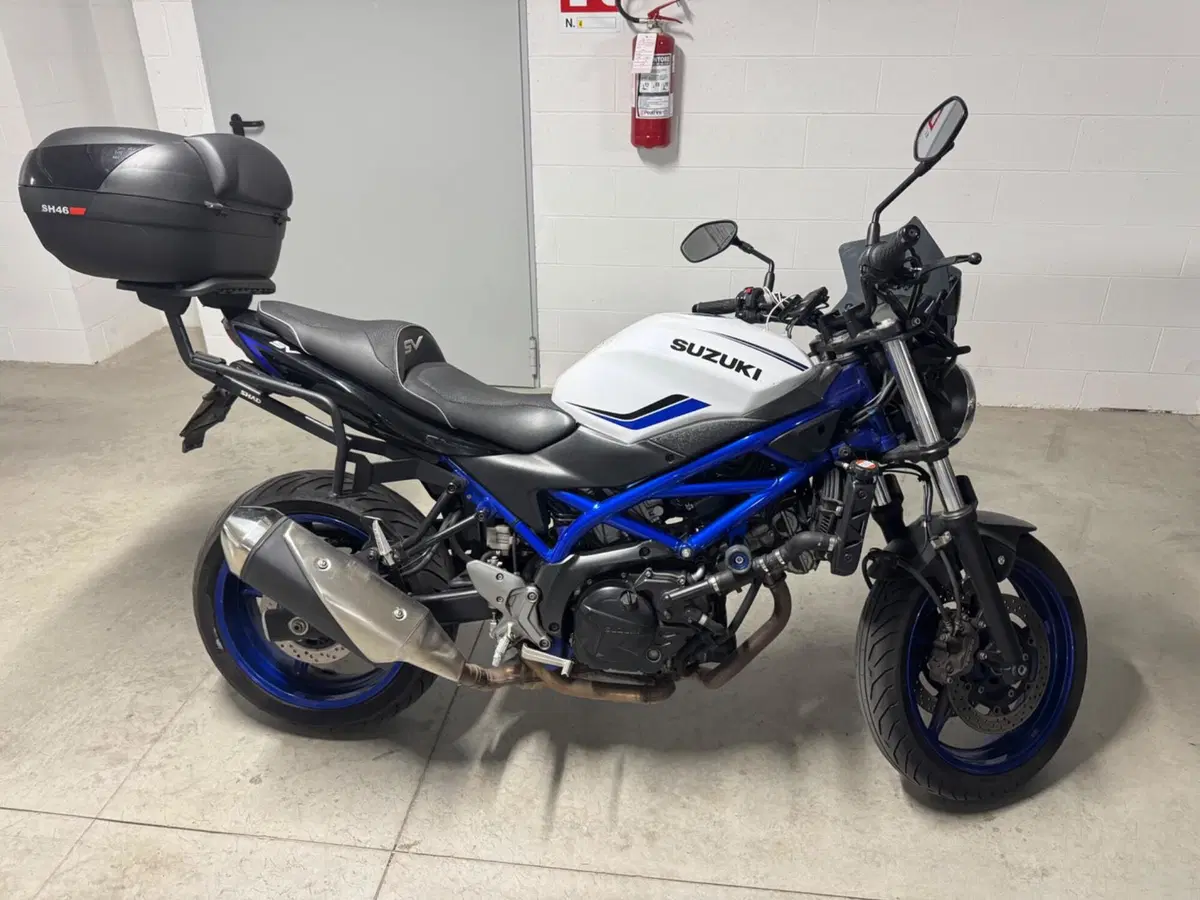 Suzuki SV 650 (2016 - 20)