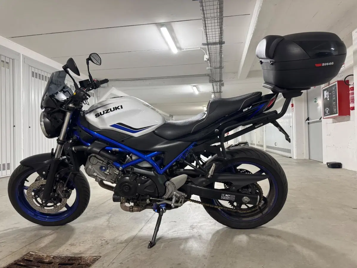 Suzuki SV 650 (2016 - 20) (2)