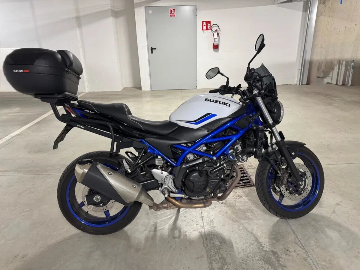 Suzuki SV 650 (2016 - 20) (3)