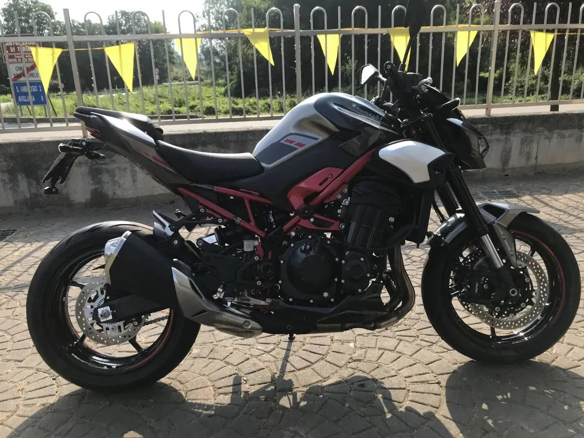 Kawasaki Z 900 (2025 - 26) (5)