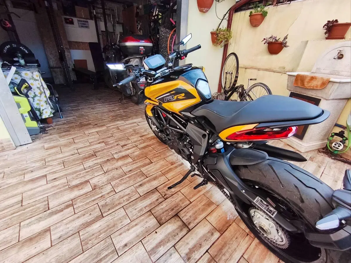 MV Agusta Dragster 800 RR SCS (2021 - 25) (10)