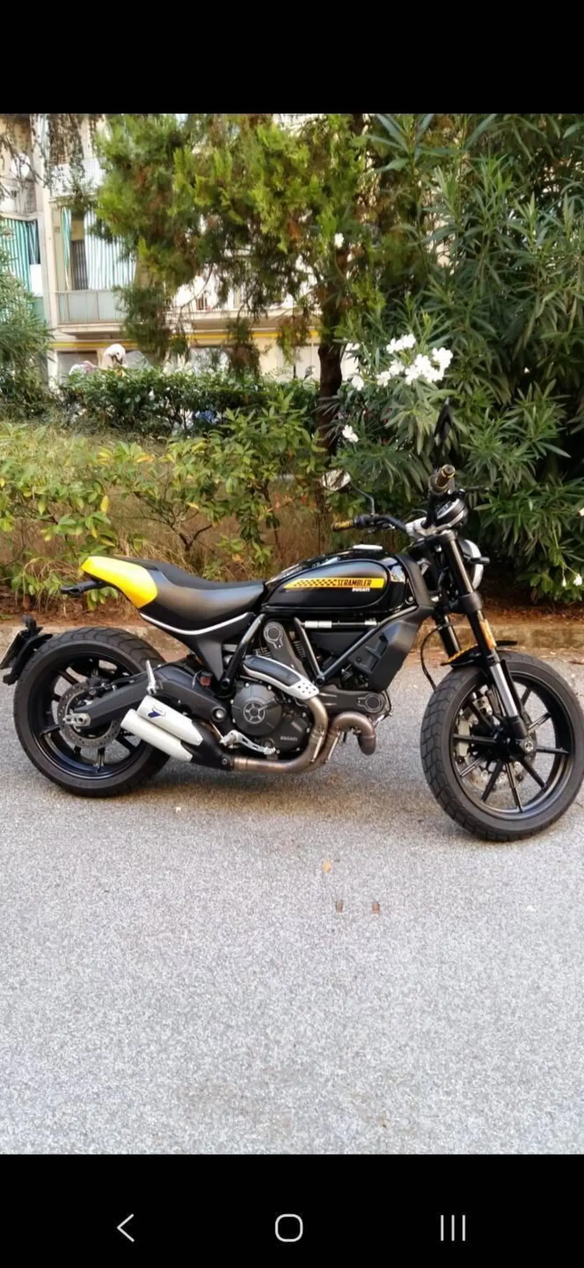 Ducati Scrambler 800 Full Throttle (2017 - 21) (5)