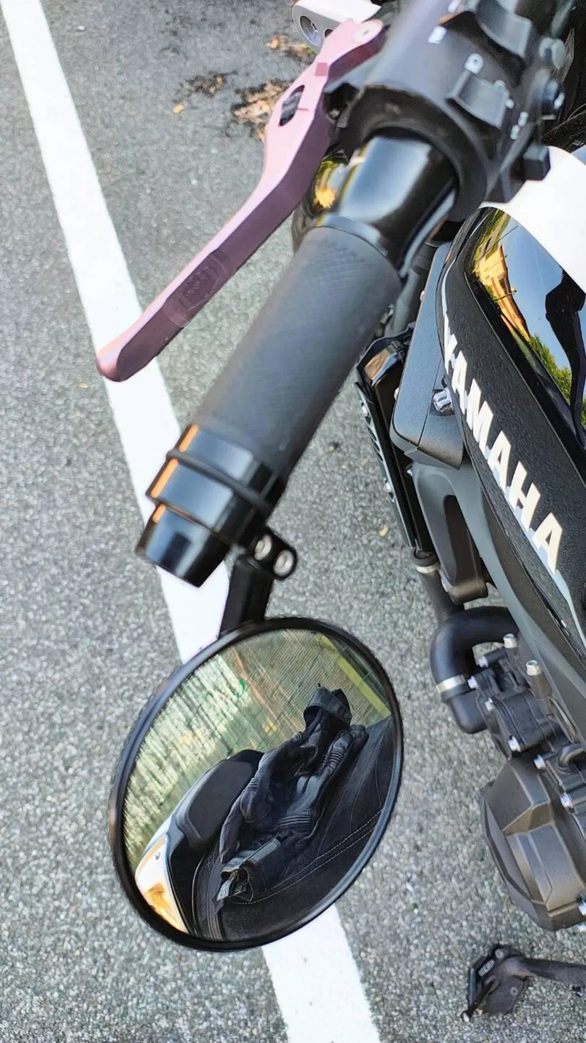 Yamaha XSR 900 ABS (2016 - 20) (3)
