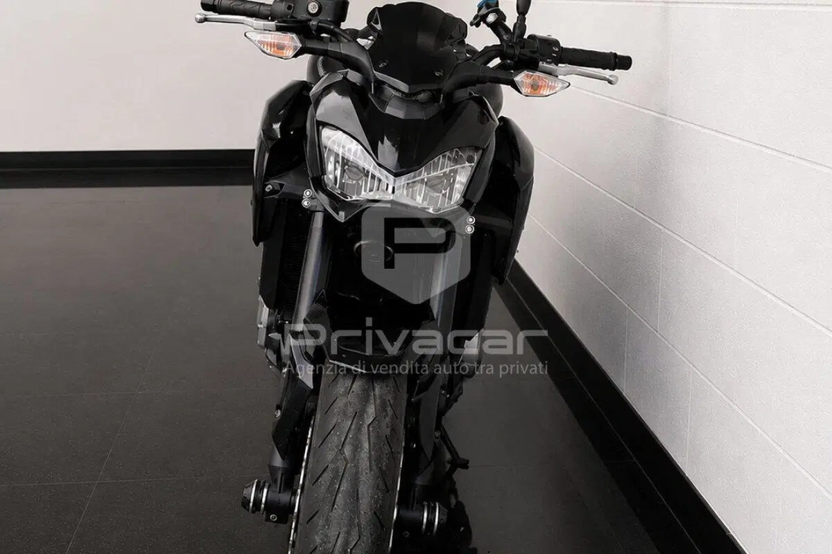 Kawasaki Z 900 (2017 - 18) (7)