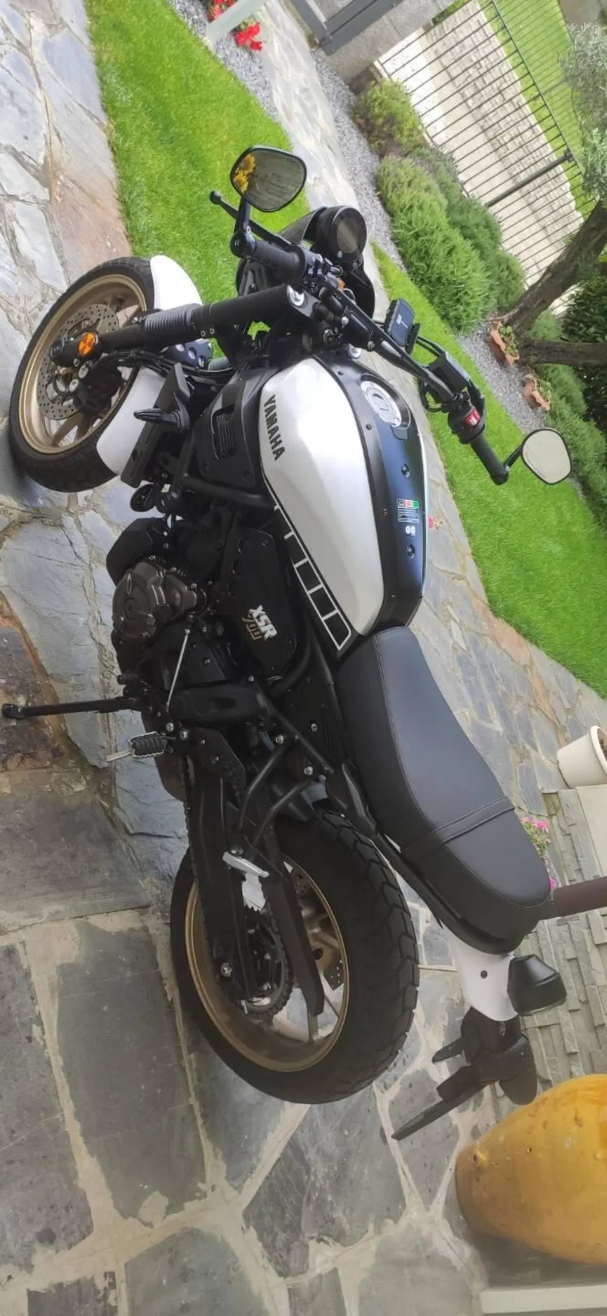 Yamaha XSR 700 Legacy (2023 - 26) (3)