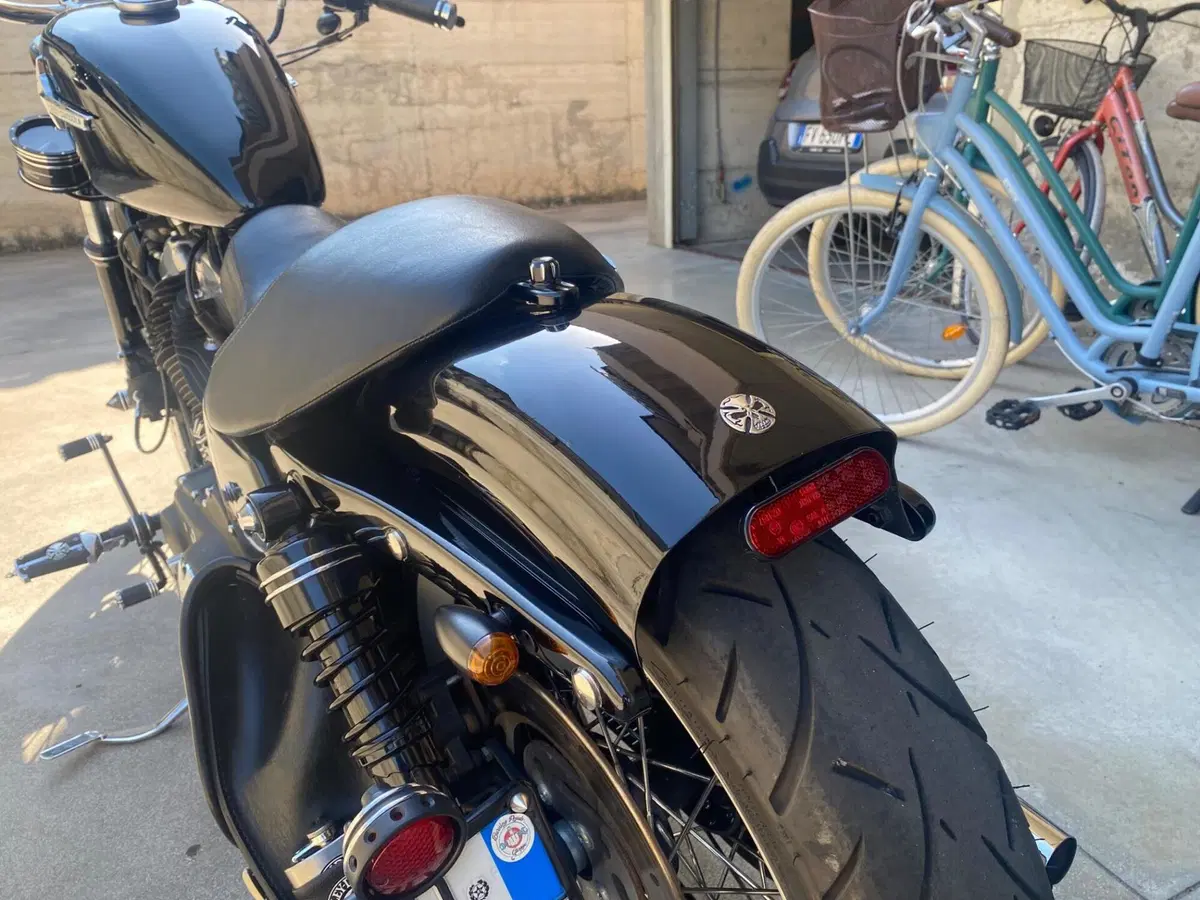 Harley-Davidson 1200 Custom (2007 - 13) - XL 1200C (3)