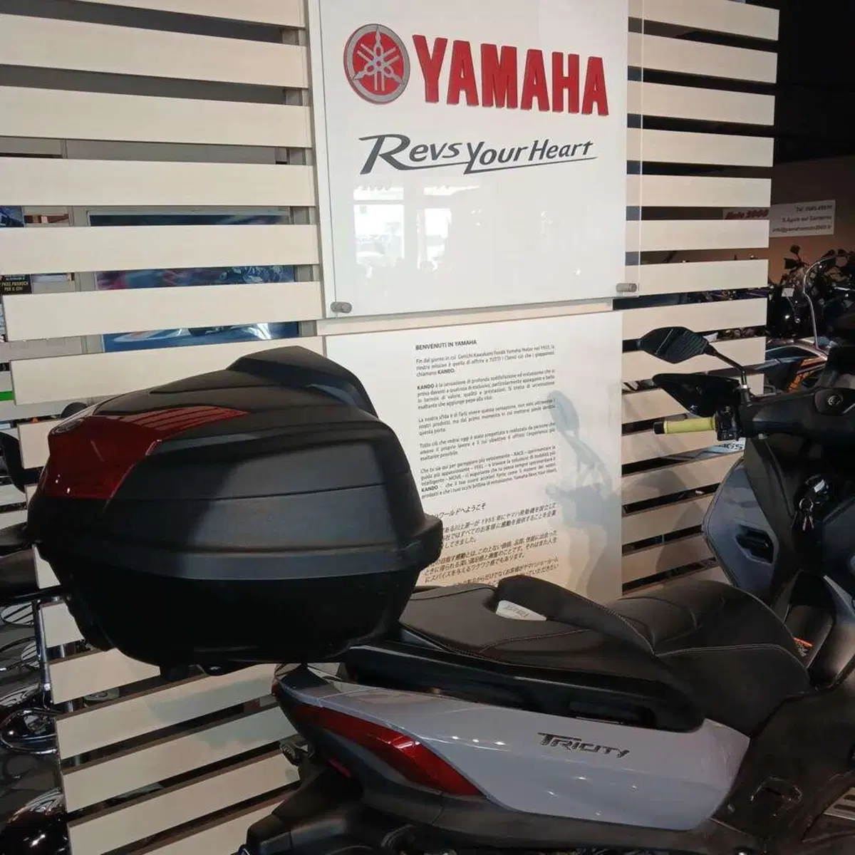 Yamaha Tricity 300 (2021 - 24) (4)