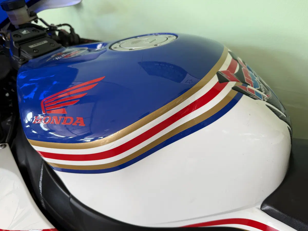 Honda CBR 1000 RR Fireblade (2006 - 07) (8)