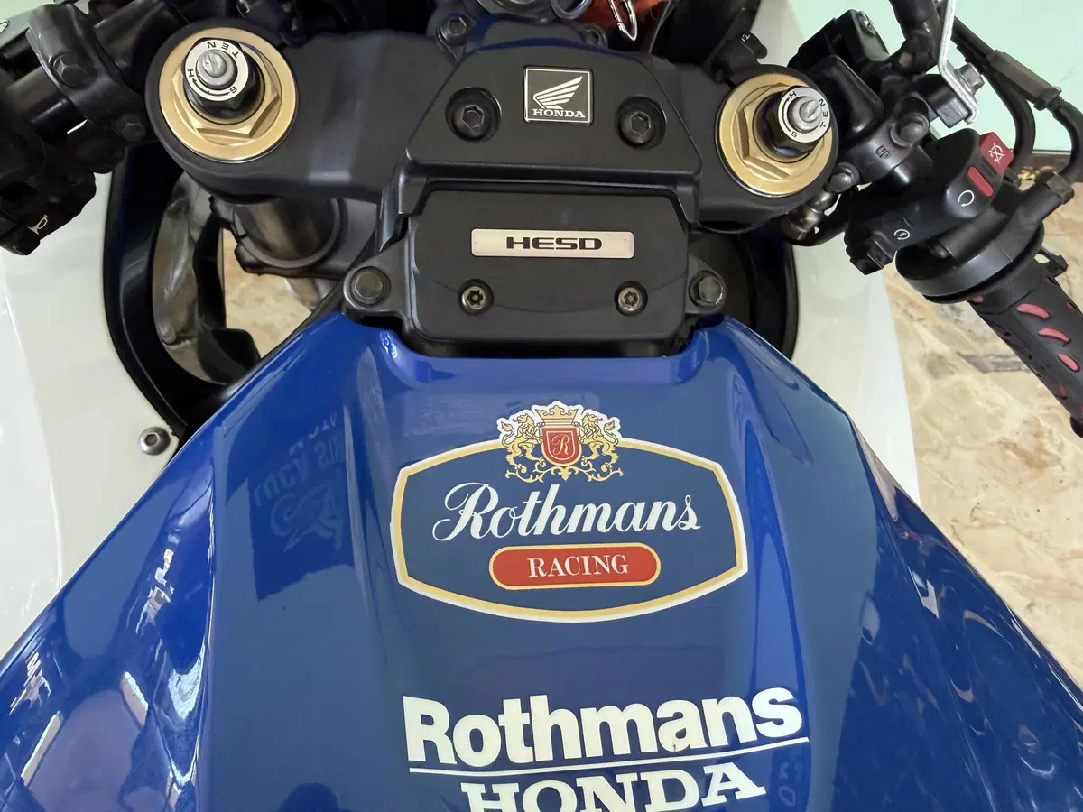 Honda CBR 1000 RR Fireblade (2006 - 07) (12)