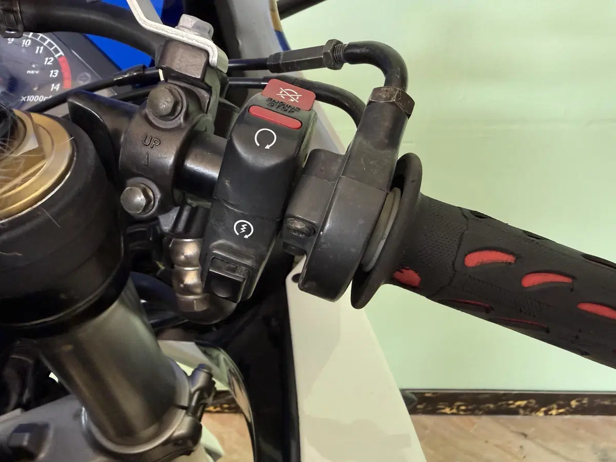 Honda CBR 1000 RR Fireblade (2006 - 07) (13)