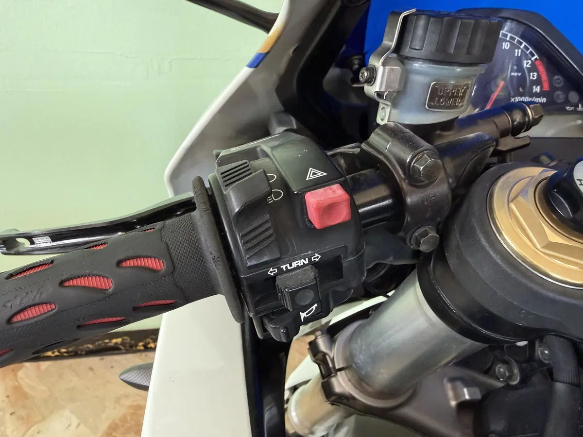 Honda CBR 1000 RR Fireblade (2006 - 07) (14)