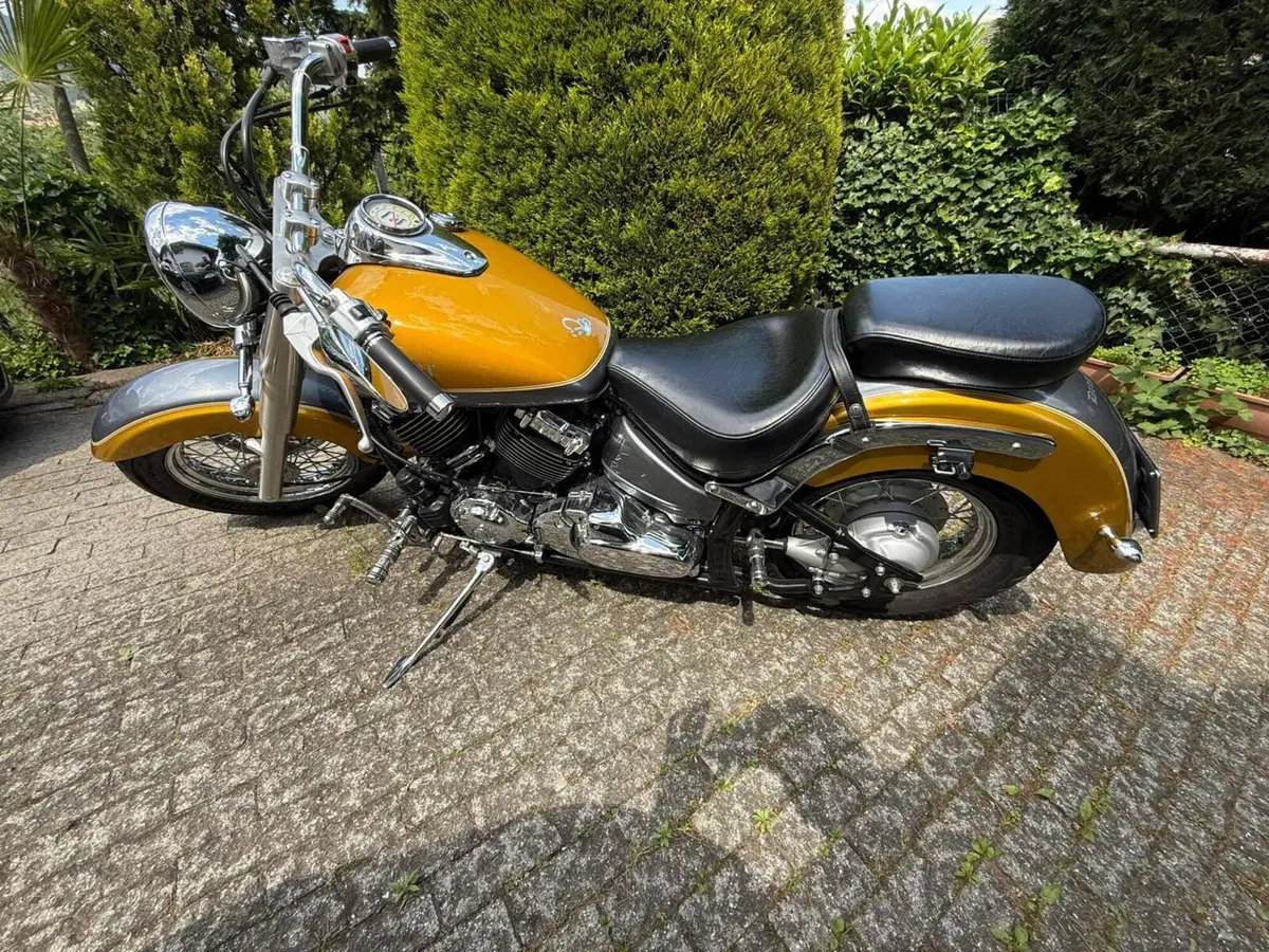 Yamaha XVS 650 Drag Star A Classic (1998 - 06) (8)