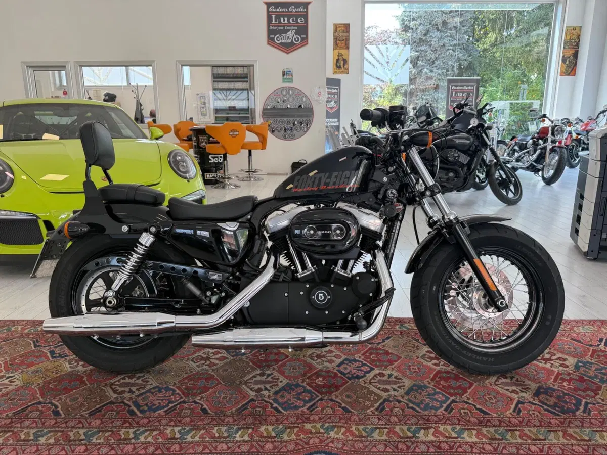 Harley-Davidson 1200 Forty-Eight (2010 - 15) (2)